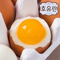 [호유란] 짜지않고 촉촉한 반숙계란 반숙란