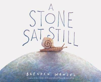 (A)Stone sat still