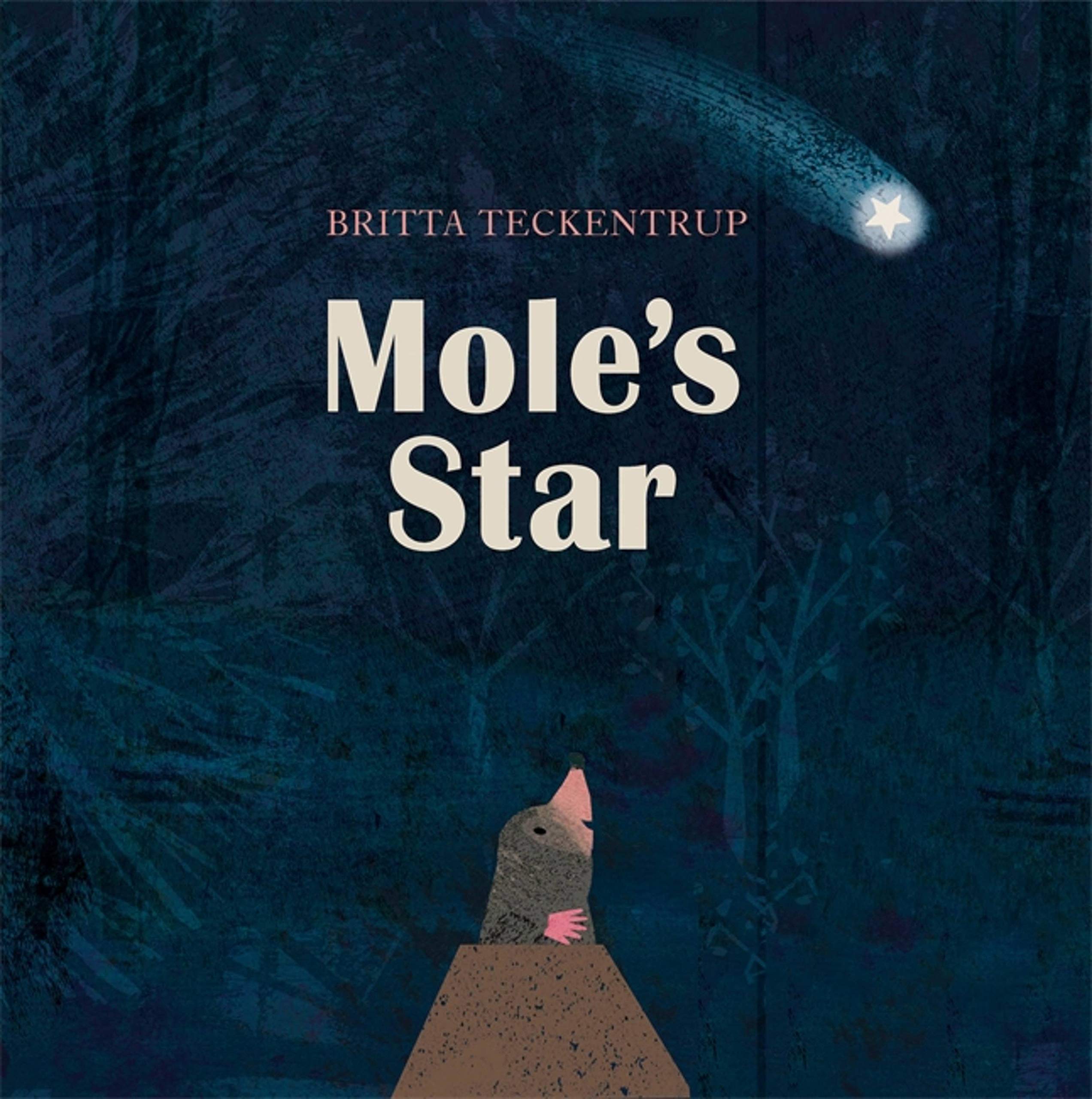Mole’s Star (『별을 사랑한 두더지』원서)
