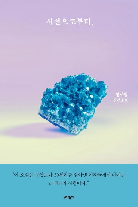 시선으로부터 : 정세랑 장편소설