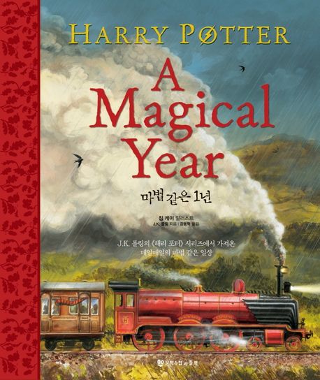 해리 포터: 마법같은 1년