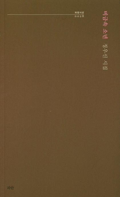비금속 소년 : 정우신 시집