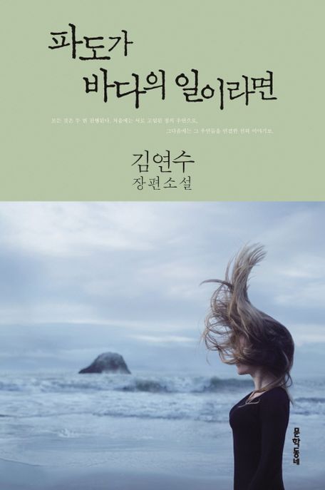 파도가 바다의 일이라면 (김연수 장편소설) 표지