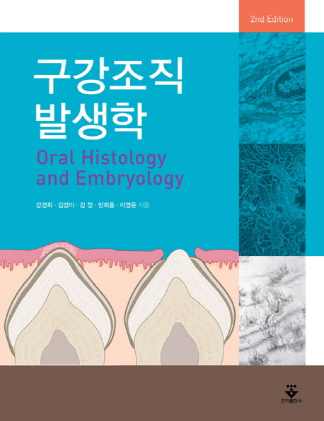 구강조직발생학