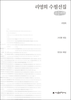 리영희 수필선집(큰글씨책)