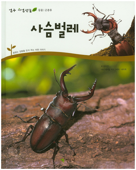 사슴벌레 (동물 : 곤충류, 끝없는 감동을 안겨 주는 자연 이야기)