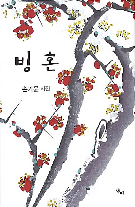 빙혼 : 손가윤 시집