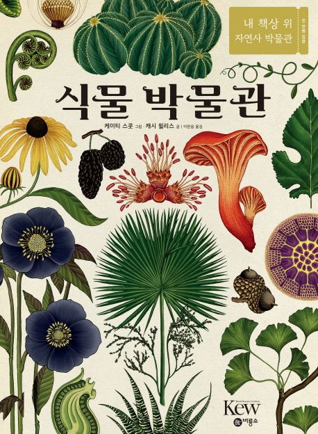 식물 박물관  : 내 책상 위 자연사 박물관