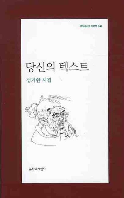 당신의 텍스트 : 성기완 시집