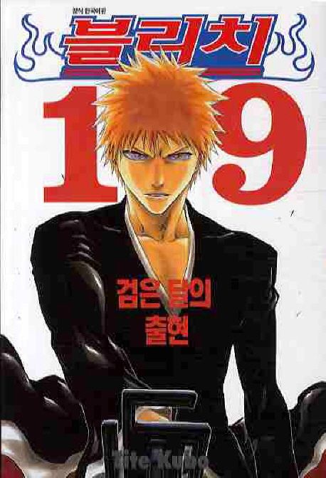 블리치 = Bleach. 19 : 검은 달의 출현