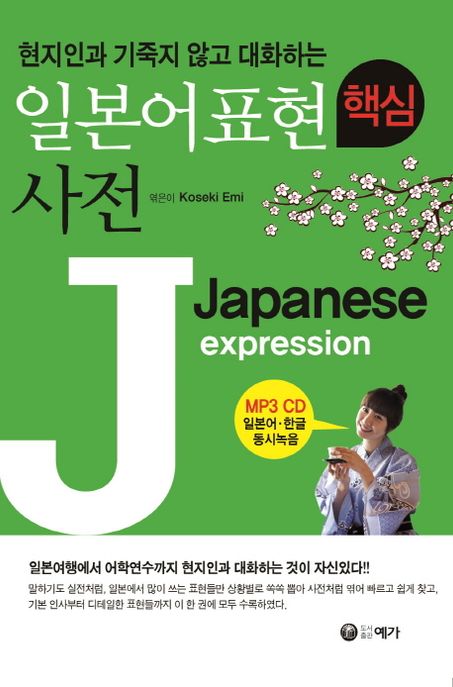 일본어표현 핵심사전 (현지인과 기죽지 않고 대화하는)