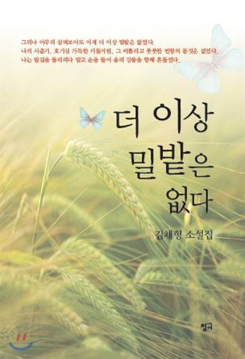더 이상 밀밭은 없다- [전자책] : 김채형 소설집