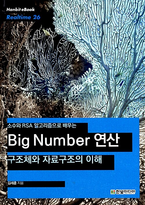 (소수와 RSA 알고리즘으로 배우는)Big number 연산  : 구조체와 자료구조의 이해