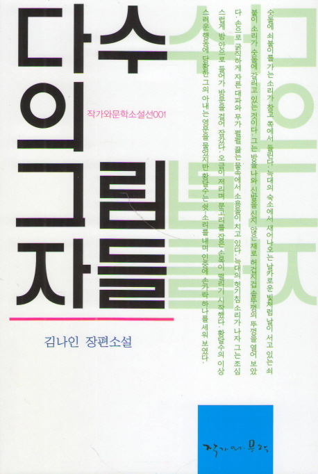 다수의 그림자들 : 김나인 장편소설