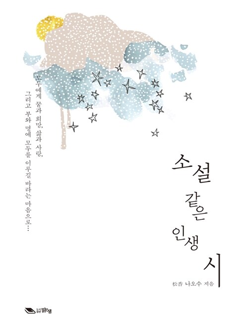 소설같은 인생 시