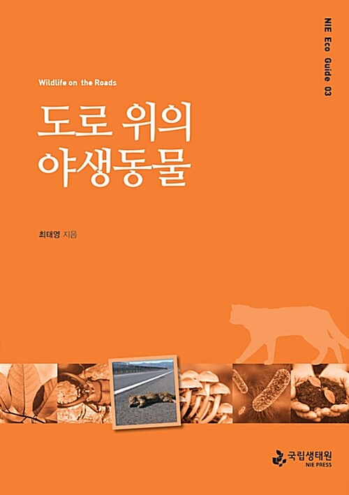 도로 위의 야생동물