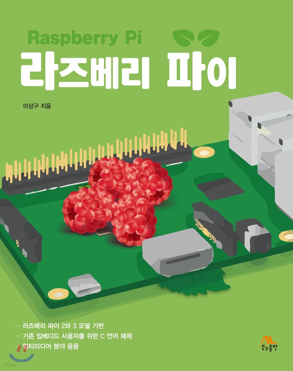 라즈베리 파이