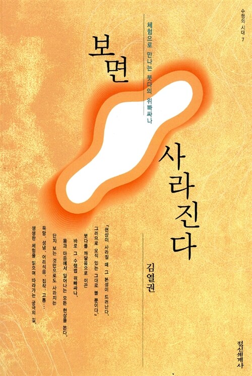 보면 사라진다 (수행의 시대 7, 체험으로 만나는 붓다의 위빠싸나)