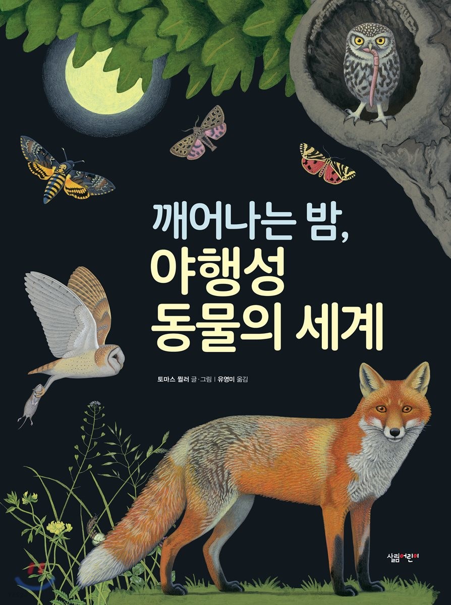 깨어나는 밤, 야행성 동물의 세계  / 토마스 뮐러  글.그림 ; 유영미 옮김