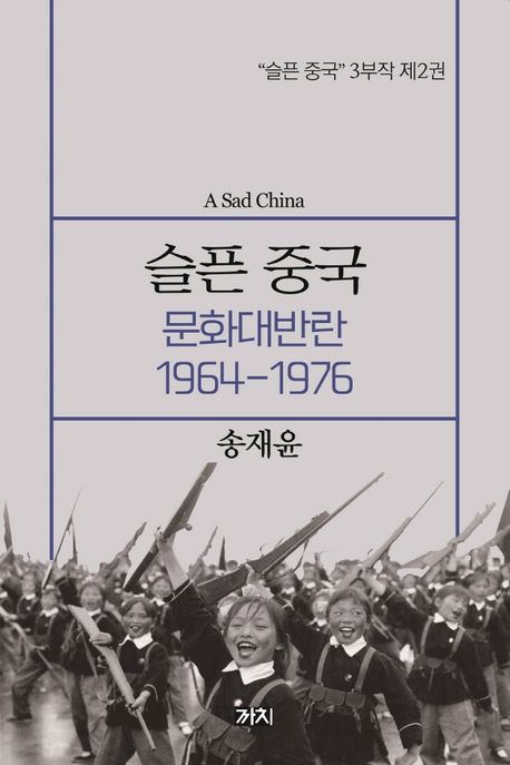 슬픈 중국 : 문화대반란 1964-1976 