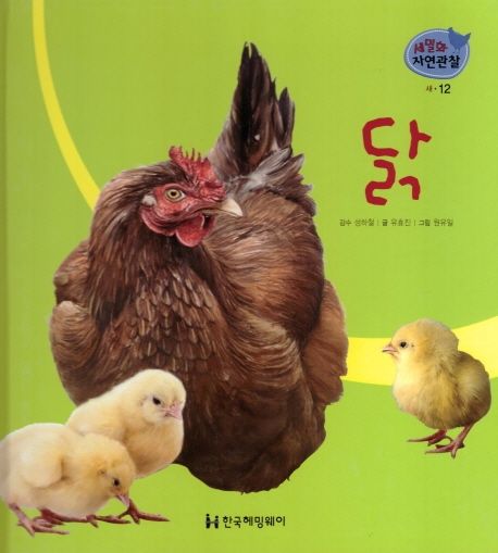새 12: 닭 (세밀화 자연관찰 12)