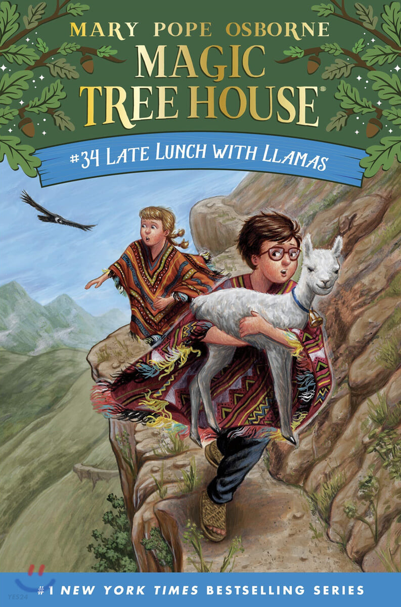 Magic Tree House. 61, Late lunch with llamas 표지