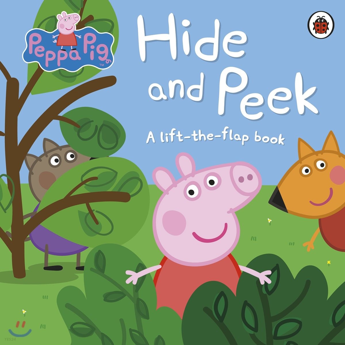 Hide and peek: a lift-the-flap book