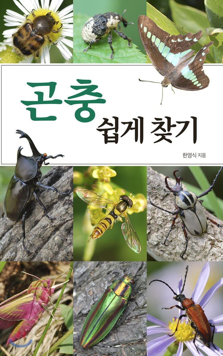 곤충 쉽게 찾기  