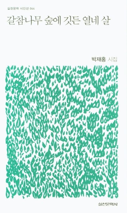 갈참나무 숲에 깃든 열네 살  : 박재홍 시집