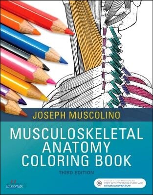 Musculoskeletal Anatomy Coloring Book, 3/E
