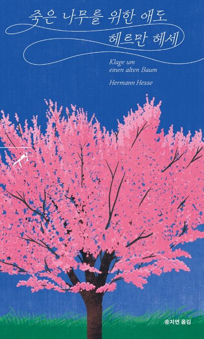 죽은 나무를 위한 애도