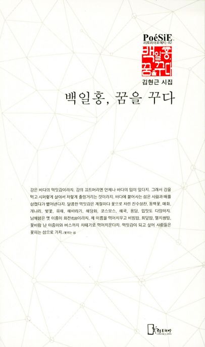 백일홍, 꿈을 꾸다 (김현근 시집)
