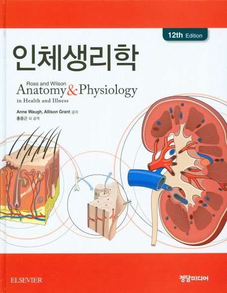 인체생리학