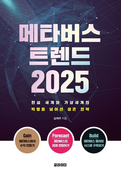 메타버스 트렌드 2025 : 현실 세계와 가상세계의 빅뱅을 넘어선 생존 전략 / 심재우 지음