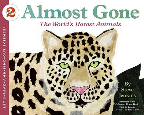 Almost gone  : the world's rarest animals