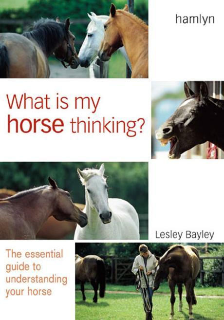 What Is My Horse Thinking 양장본 Hardcover