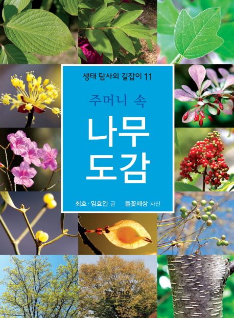 주머니 속 나무 도감