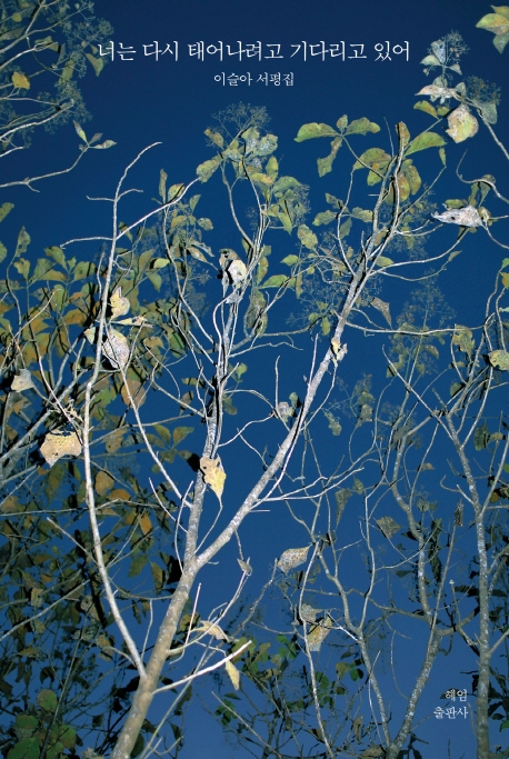 너는 다시 태어나려고 기다리고 있어 (이슬아 서평집) (저자: 이슬아) 책 표지