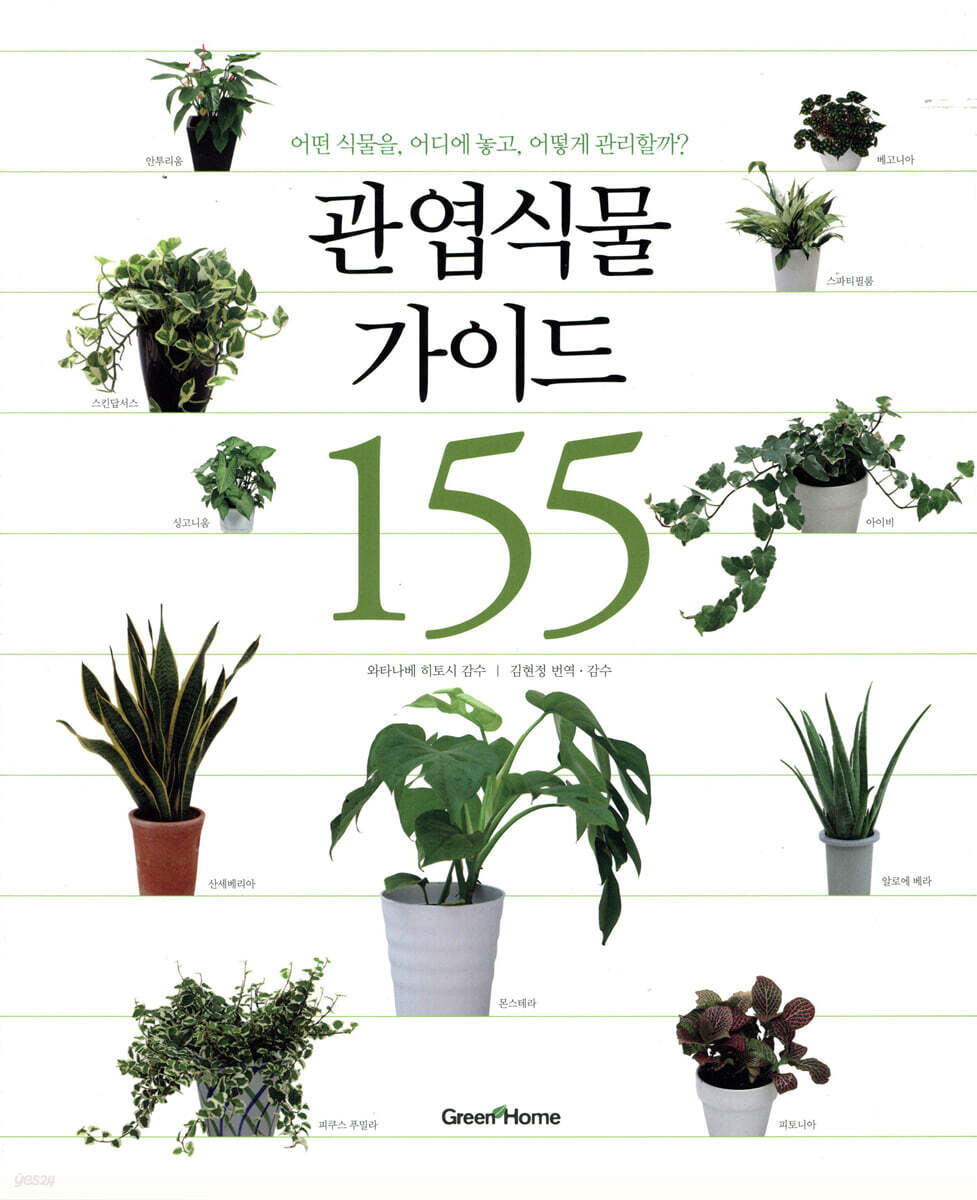 관엽식물 가이드 155 : 어떤 식물을, 어디에 놓고, 어떻게 관리할까?