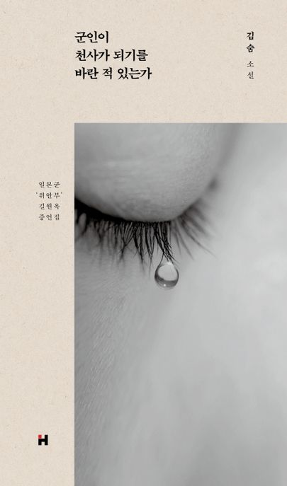 군인이 천사가 되기를 바란 적 있는가  : 김숨 소설