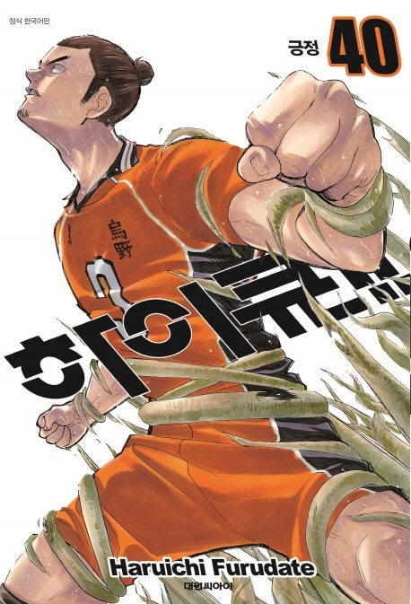 하이큐!! 40 (긍정)