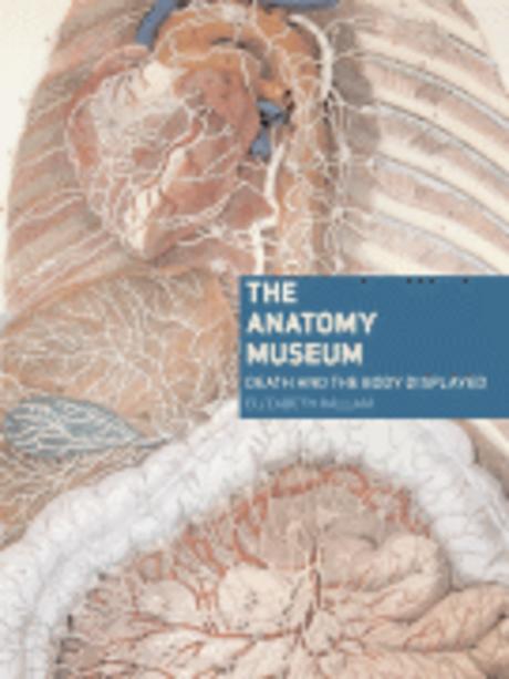 Anatomy Museum (Death and the Body Displayed)