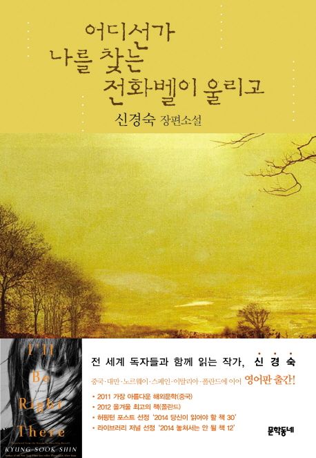 어디선가 나를 찾는 전화벨이 울리고  : 신경숙 장편소설