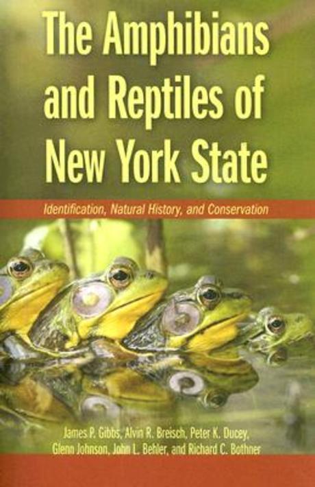 Amphibians and Reptiles of New York State : Identification, Natural History, and Conservation Paperback (Identification, Natural History, And Conservation)