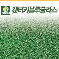 잔디 켄터키블루그라스(양잔디)-20g