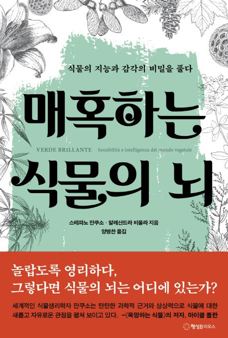 매혹하는 식물의 뇌 : 식물의 지능과 감각의 비밀을 풀다   표지