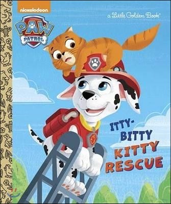 Itty-bitty kitty rescue /