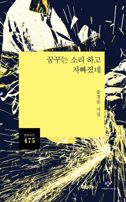 꿈꾸는 소리 하고 자빠졌네 (송경동 시집) 표지