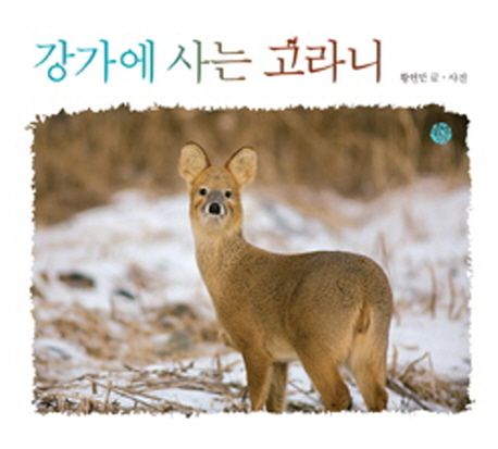 강가에 사는 고라니