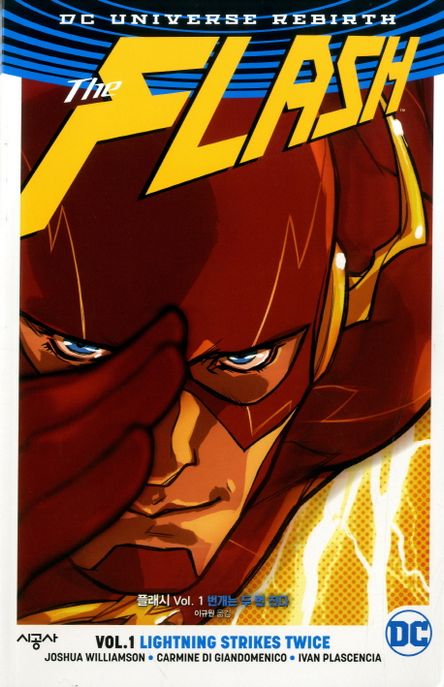 플래시 1: 번개는 두 번 친다)